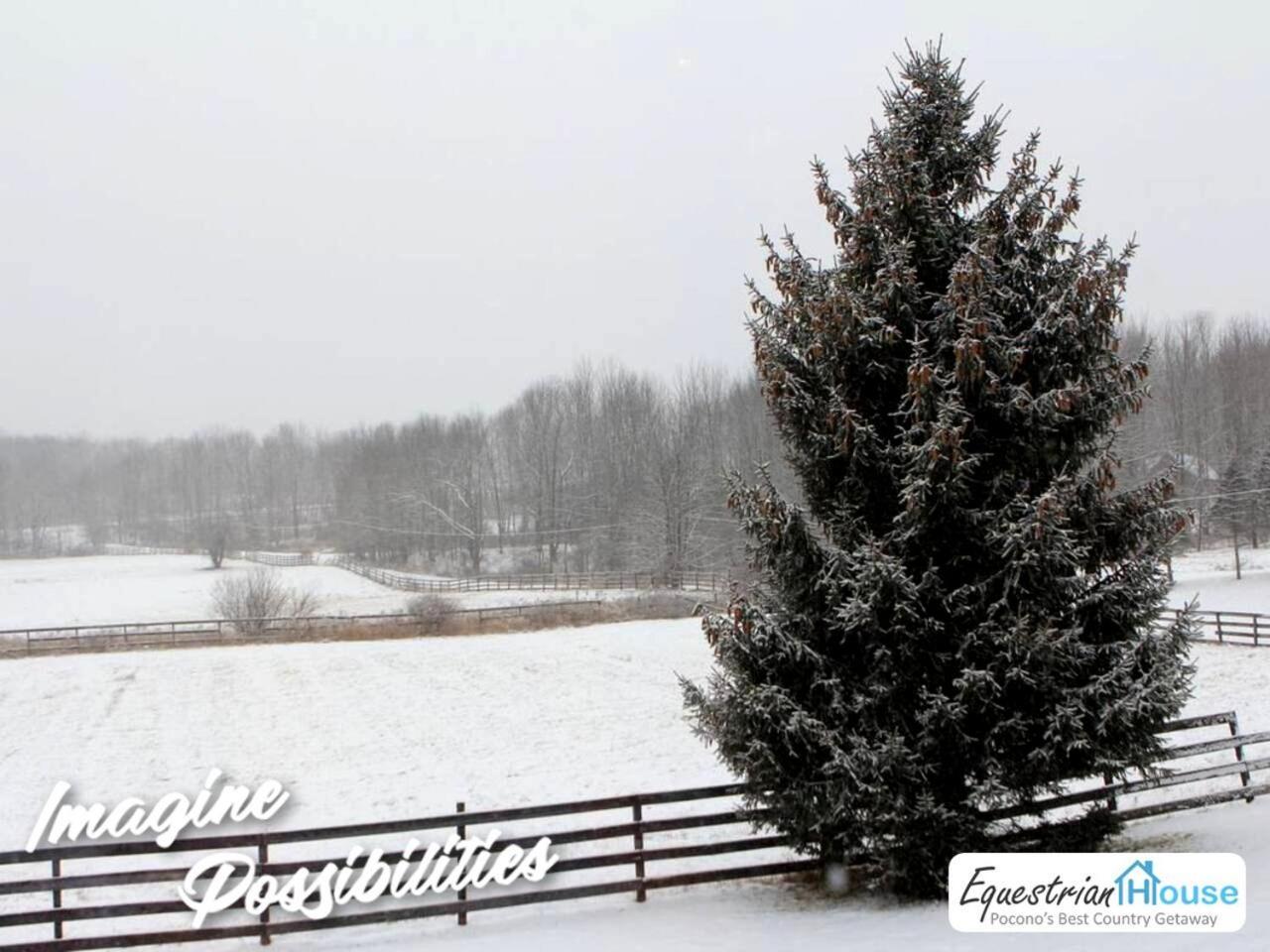 Holiday home Equestrian House *